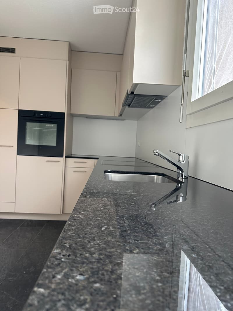 neu sanierte, grosse, sonnige 4.5-Zi-Erdgeschoss-Wohnung mit Gartenterrasse (rollstuhlgängig) (4)