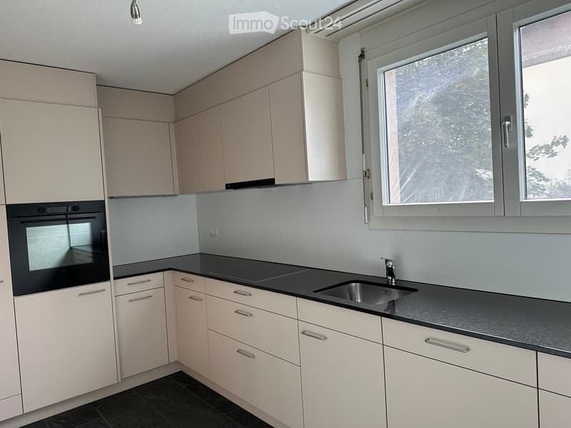 neu sanierte, grosse, sonnige 4.5-Zi-Erdgeschoss-Wohnung mit Gartenterrasse (rollstuhlgängig) (2)
