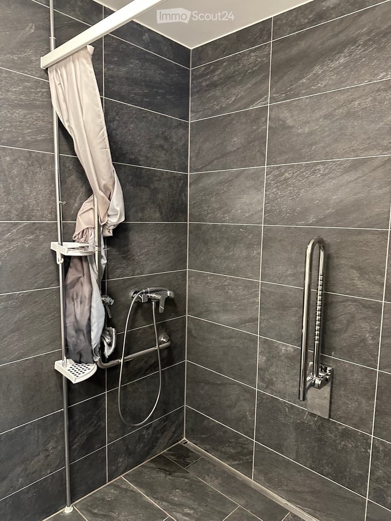 neu sanierte, grosse, sonnige 4.5-Zi-Erdgeschoss-Wohnung mit Gartenterrasse (rollstuhlgängig) (8)