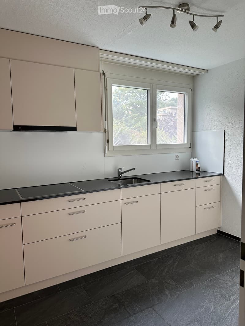neu sanierte, grosse, sonnige 4.5-Zi-Erdgeschoss-Wohnung mit Gartenterrasse (rollstuhlgängig) (3)