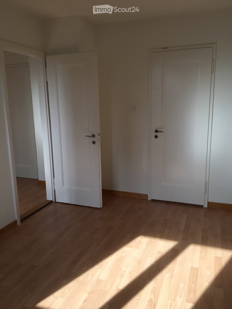 **TOP** originelle, grosszügige 4-Zimmerwohnung (14)