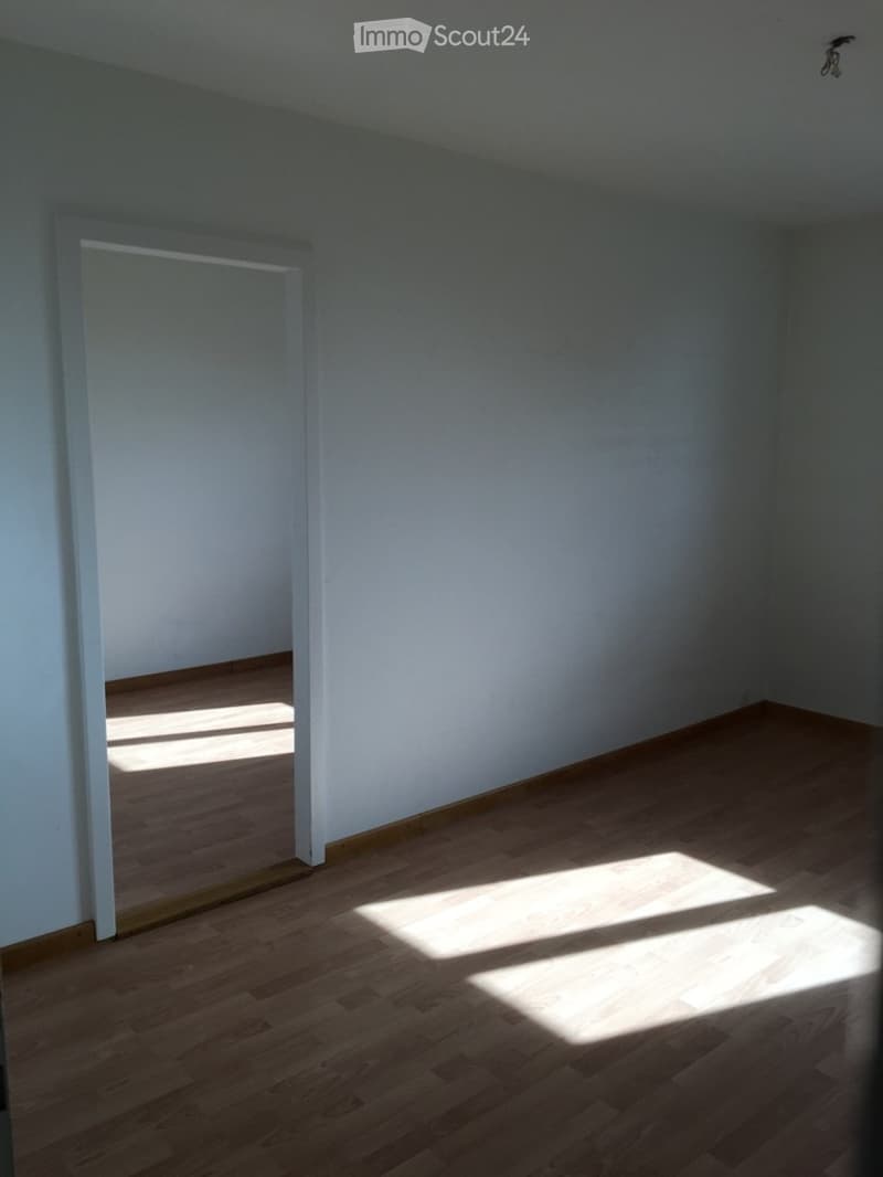**TOP** originelle, grosszügige 4-Zimmerwohnung (15)