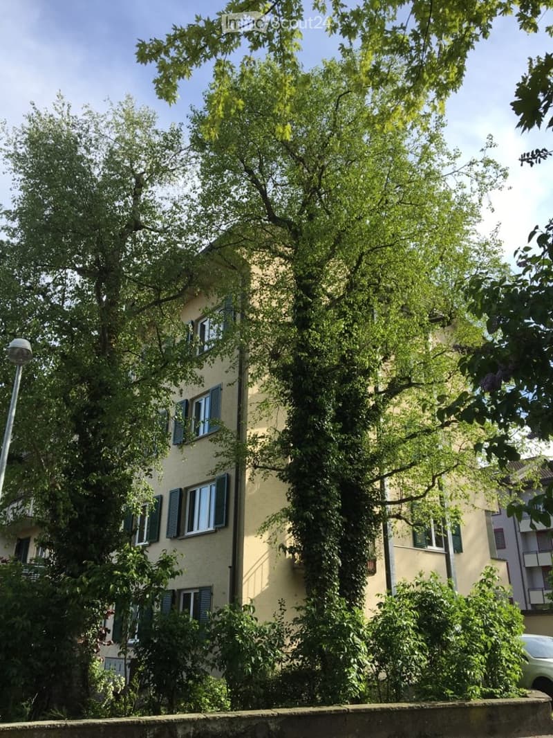 **TOP** originelle, grosszügige 4-Zimmerwohnung (2)