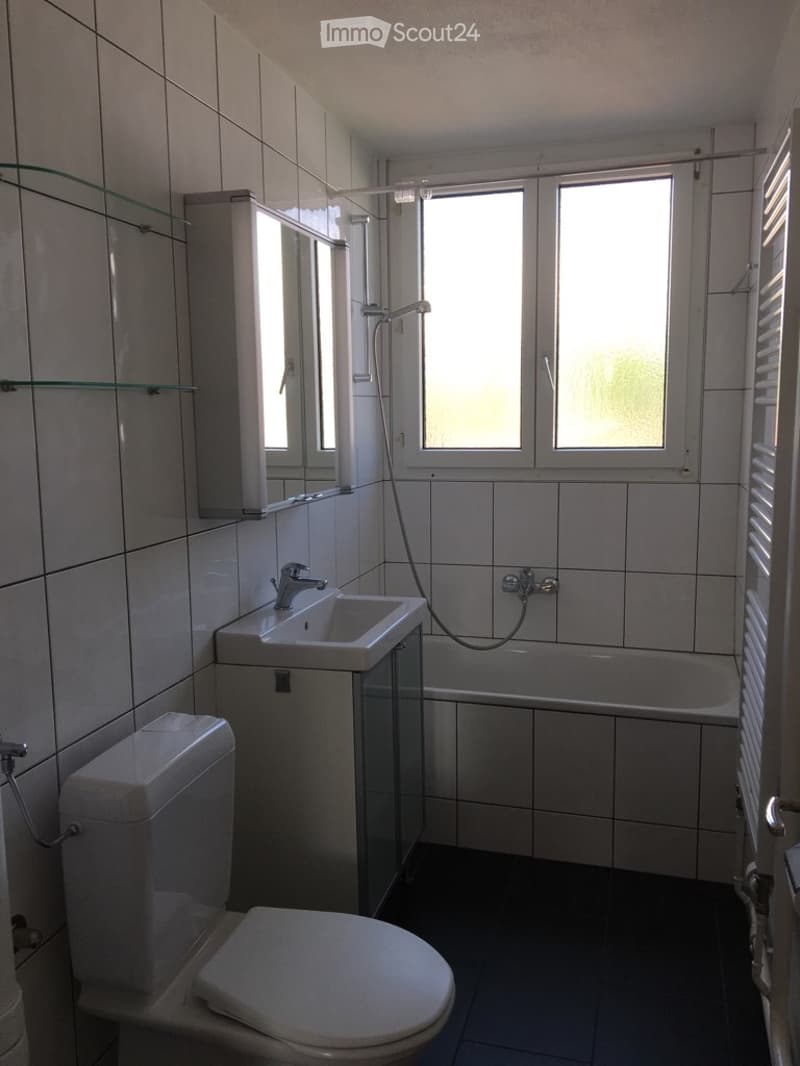 **TOP** originelle, grosszügige 4-Zimmerwohnung (12)