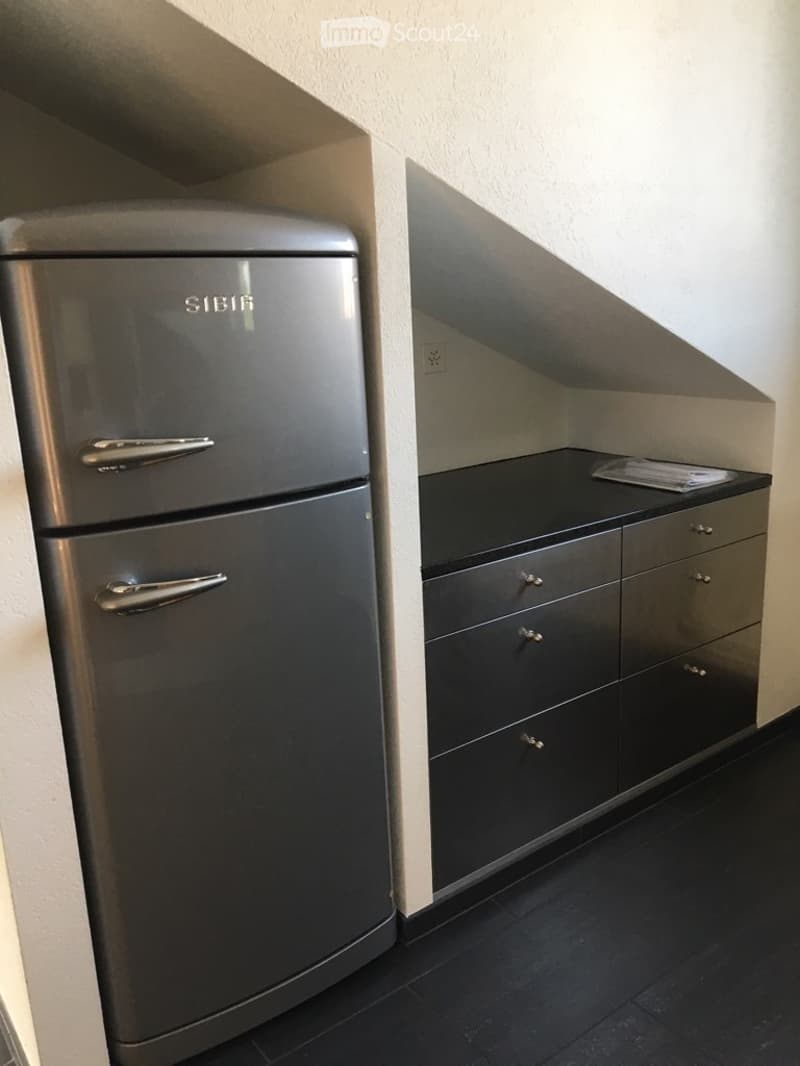 **TOP** originelle, grosszügige 4-Zimmerwohnung (7)