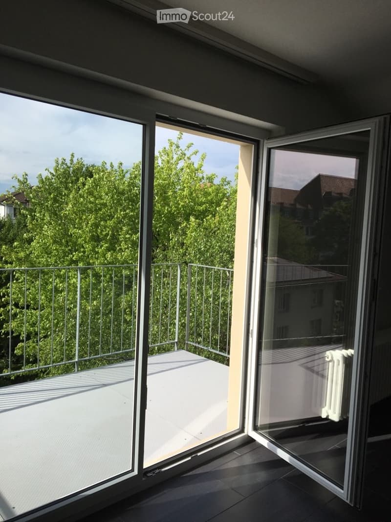 **TOP** originelle, grosszügige 4-Zimmerwohnung (5)