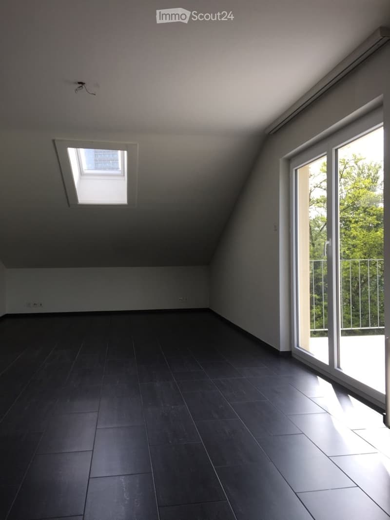 **TOP** originelle, grosszügige 4-Zimmerwohnung (11)