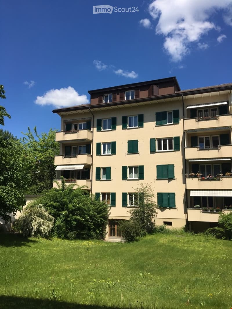 **TOP** originelle, grosszügige 4-Zimmerwohnung (1)