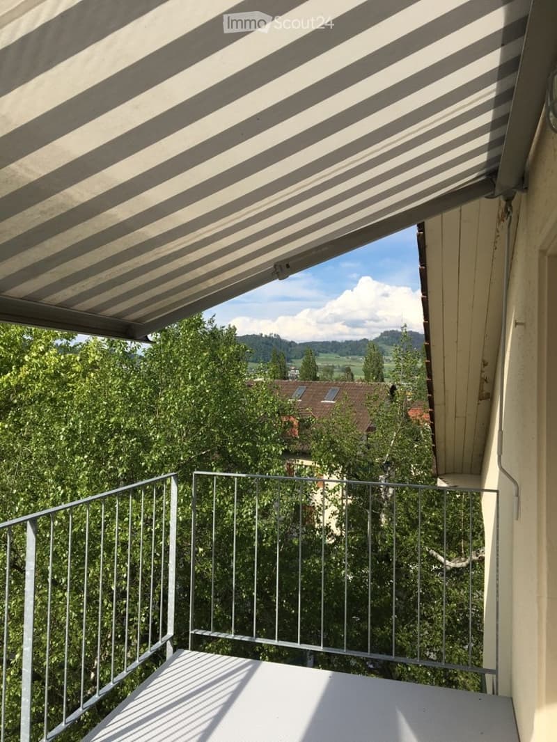 **TOP** originelle, grosszügige 4-Zimmerwohnung (4)