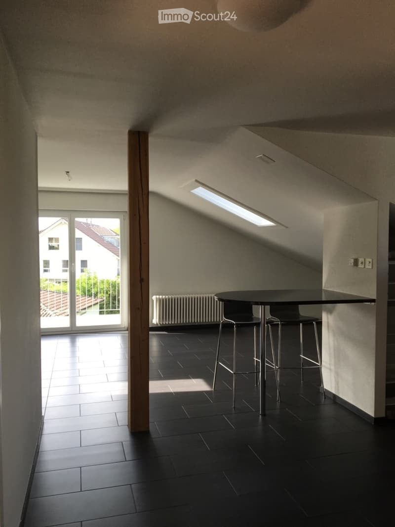 **TOP** originelle, grosszügige 4-Zimmerwohnung (10)