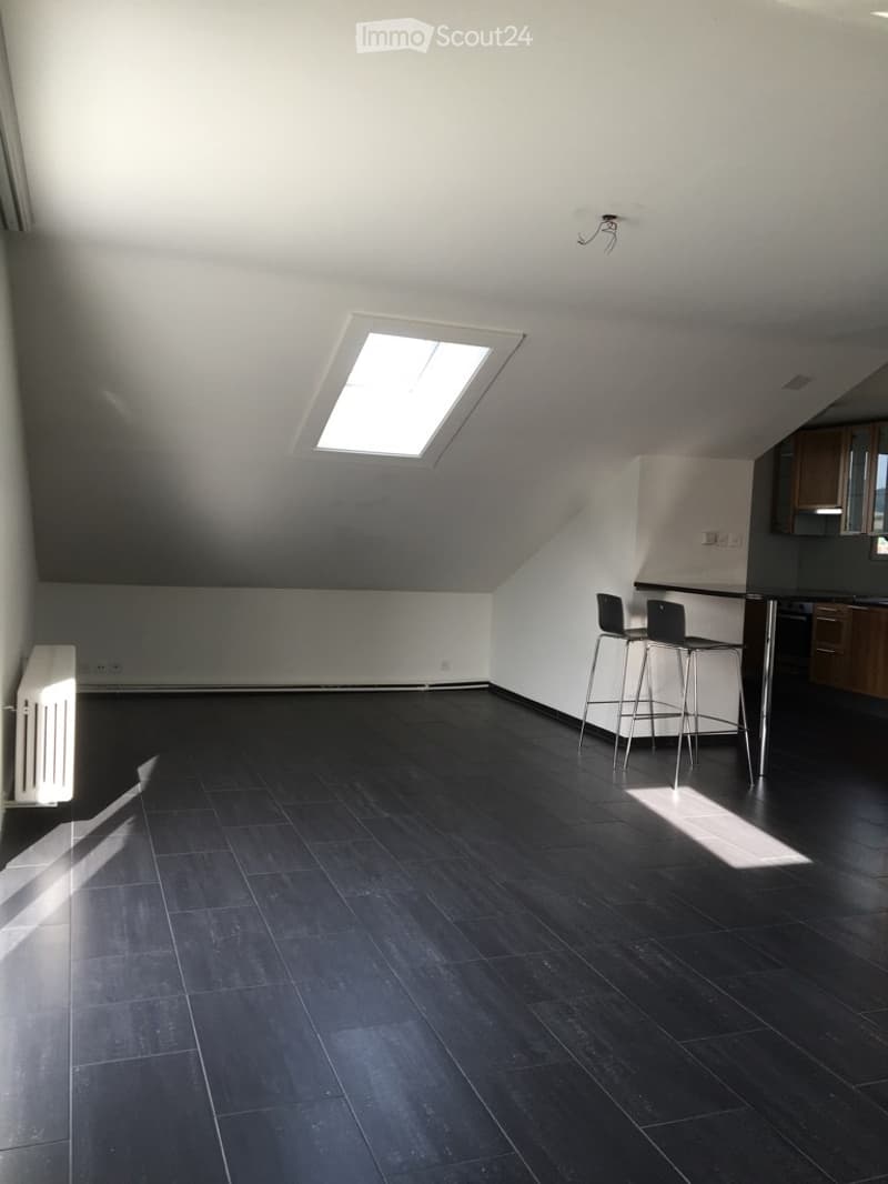 **TOP** originelle, grosszügige 4-Zimmerwohnung (9)