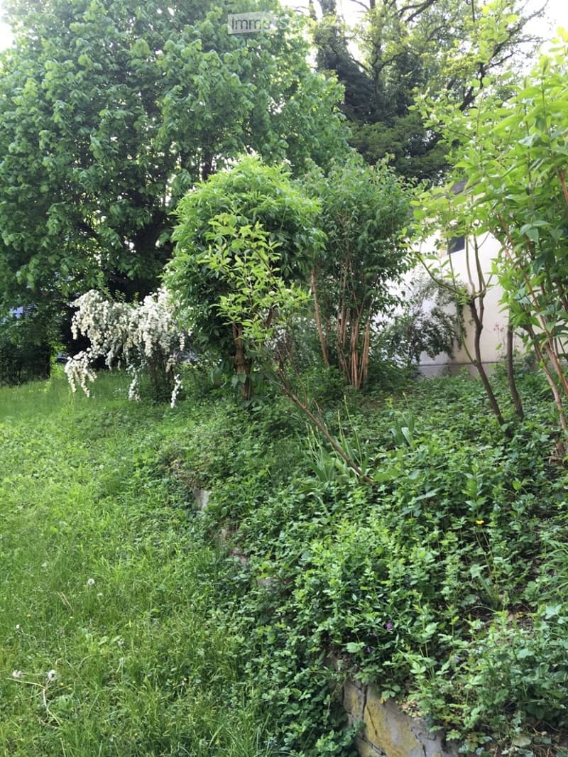 **TOP** originelle, grosszügige 4-Zimmerwohnung (16)