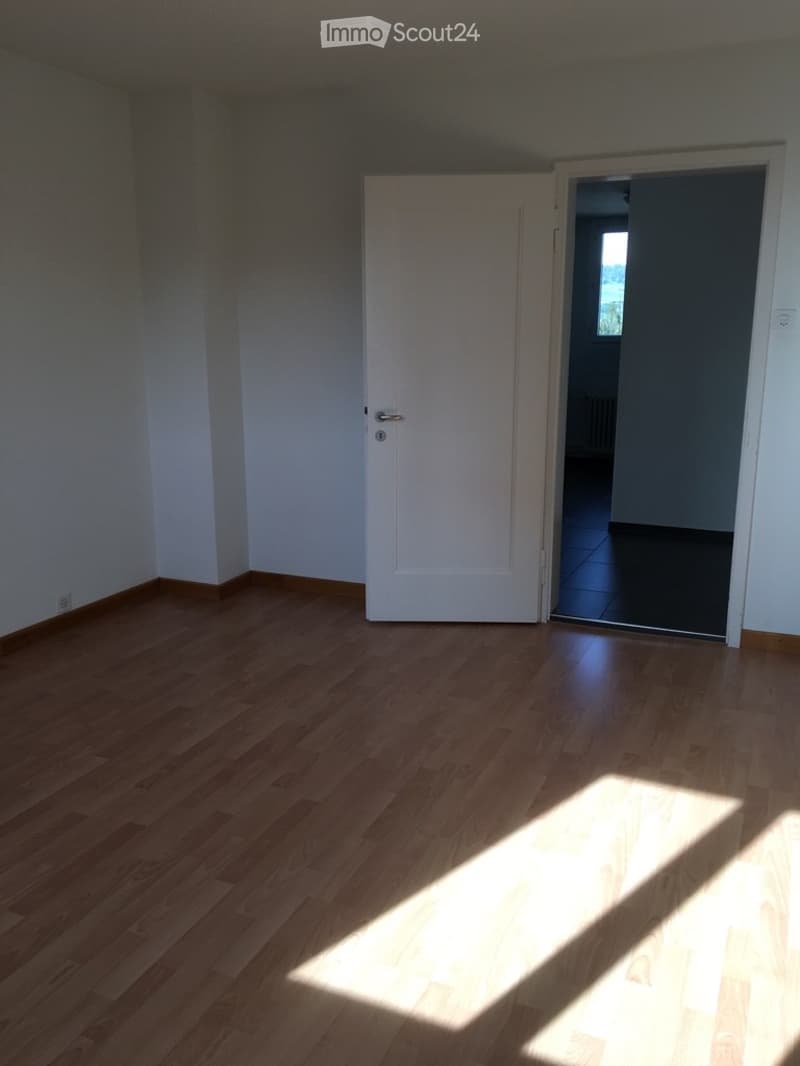 **TOP** originelle, grosszügige 4-Zimmerwohnung (13)