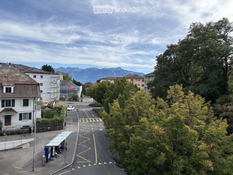 A quiet residential street lined with trees and houses, with a distant mountain range visible in the background.