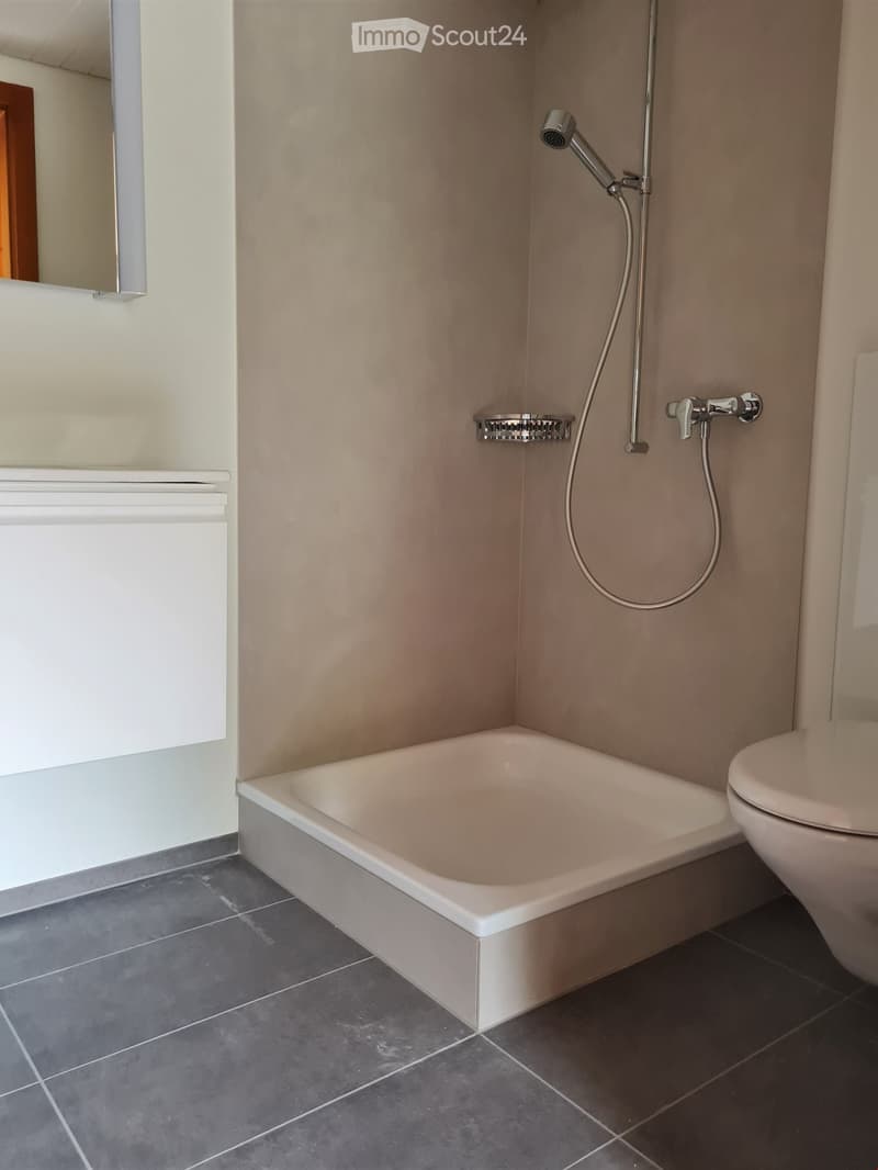 Modern bathroom with a white bathtub, toilet, shower faucet, and a wall-mounted mirror.