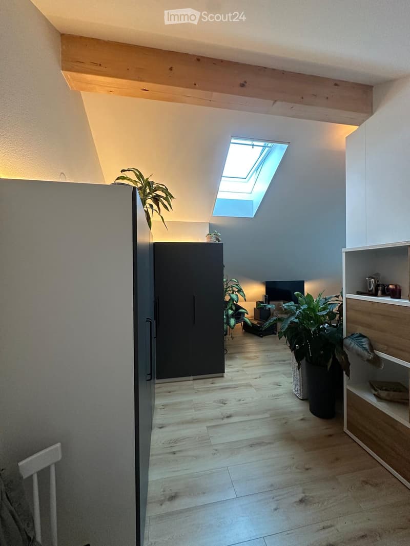 Modern, well-lit room with wooden flooring, white walls, and a skylight. Features include a white chair, a tall black cabinet, a potted plant, and a wooden shelf with decorative items.