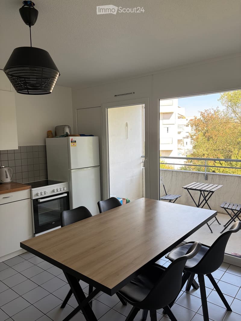 A modern kitchen and dining area with a large wooden table, black chairs, a refrigerator, oven, and a balcony with outdoor furniture.