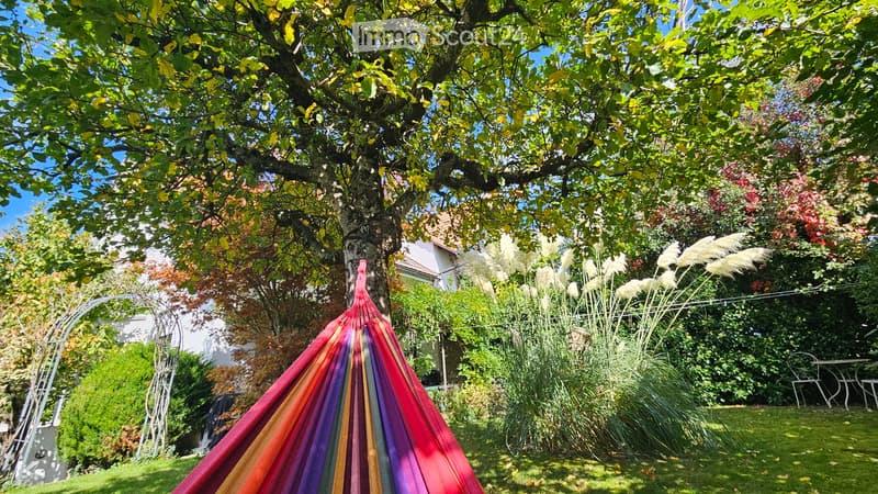 A lush garden with a hammock, tall grasses, trees, and a small table and chairs in the background.