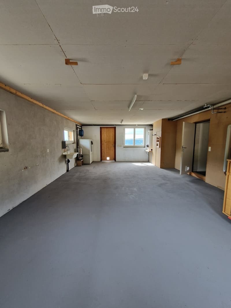 Empty room with bare walls, carpeted floor, and minimal fixtures including a sink, small refrigerator, and a wooden door.