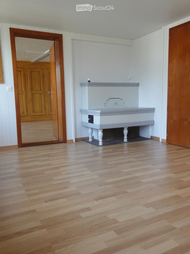 Empty room with wooden flooring, white walls, and a fireplace with a grey mantel. There are two wooden doors, one with a mirror attached.