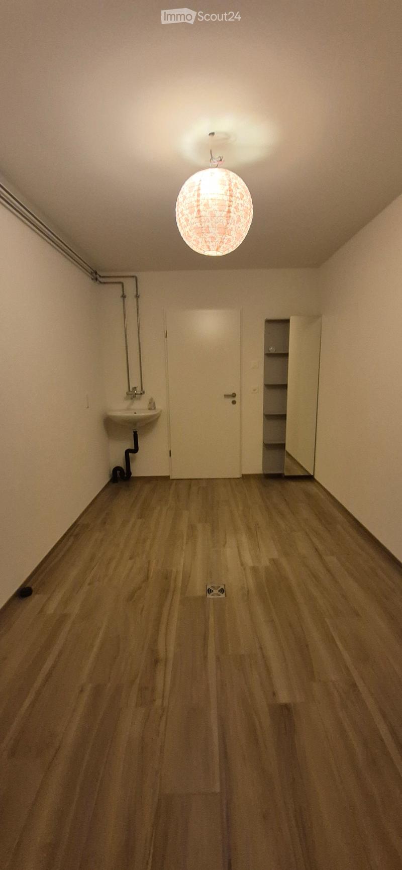 Empty room with wooden flooring, white walls, a small sink, a closed door, and a built-in shelf unit. A decorative hanging light fixture is visible on the ceiling.