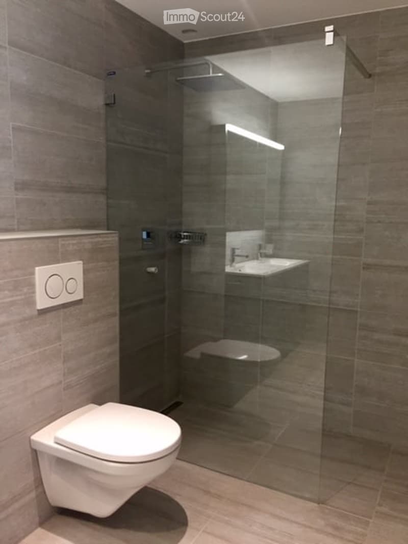 Modern bathroom with dark grey tiles, a white toilet, a glass-enclosed shower, and a sink with a mirror.