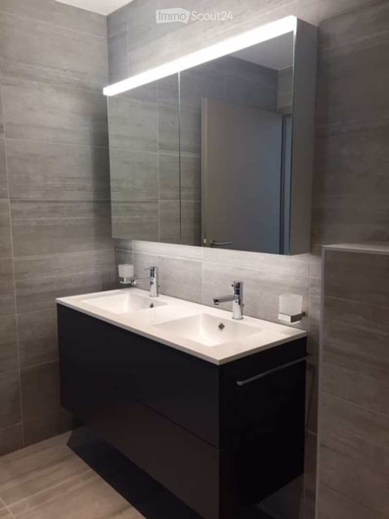 Modern bathroom with double sink vanity, sleek dark cabinetry, and illuminated mirror above.