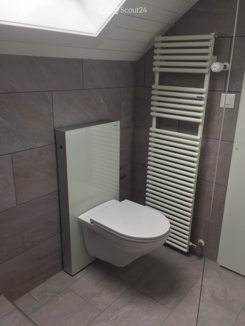Modern bathroom with a toilet, radiator, and grey tiled walls and floor. Features a skylight window for natural light.