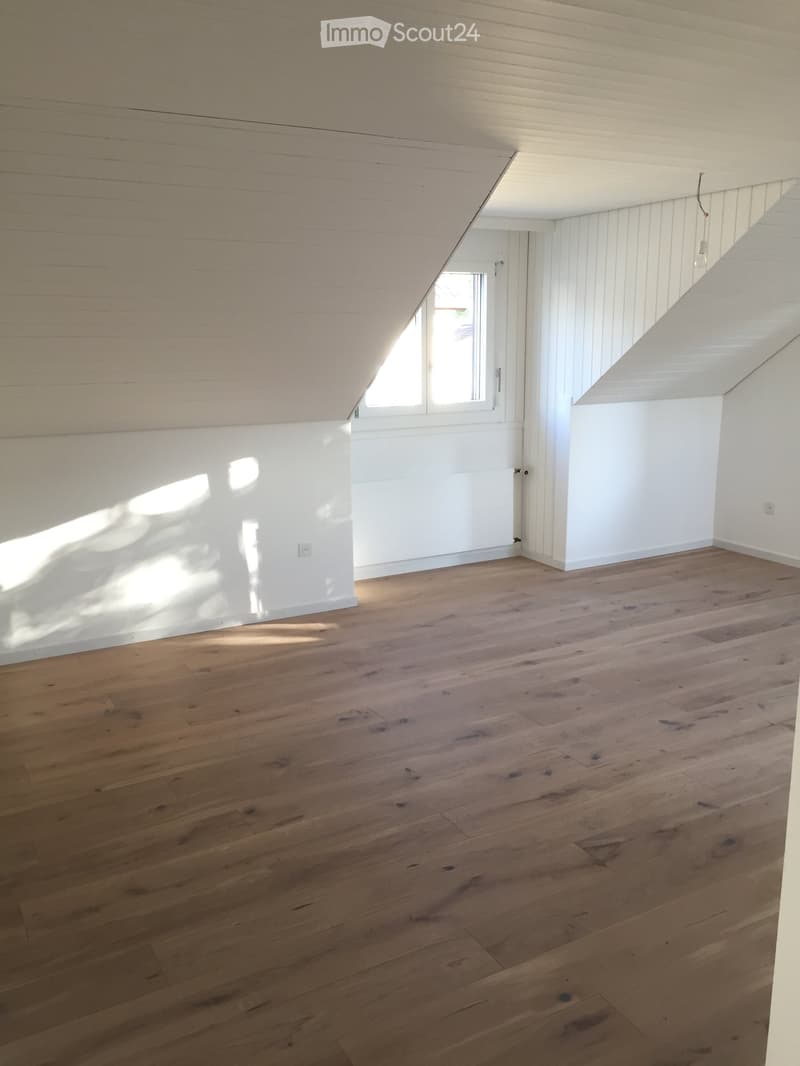 Empty attic room with wooden flooring, white walls, and a skylight window allowing natural light to enter.