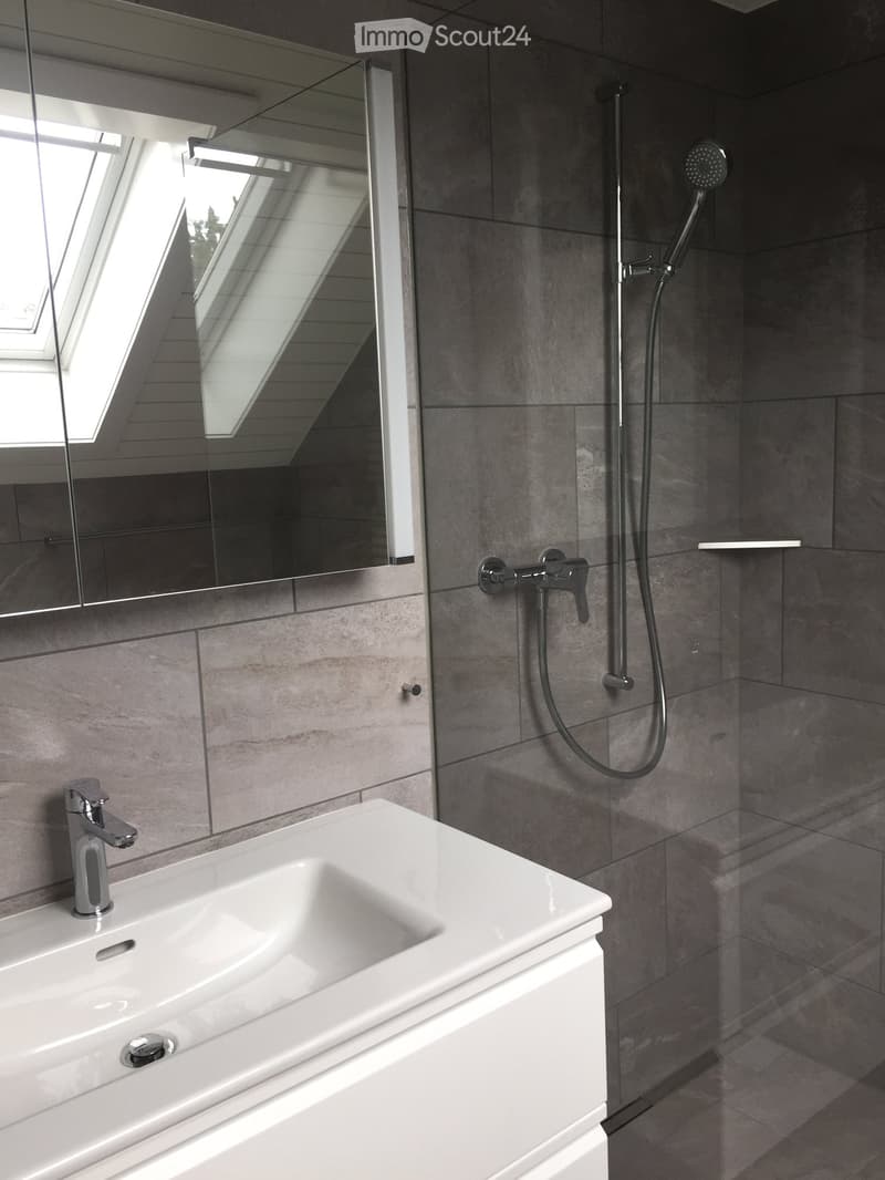 Modern bathroom with a white sink, chrome faucet, large mirror, and a showerhead with handheld sprayer.