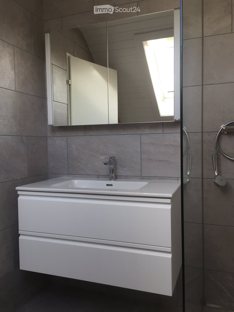 Modern bathroom with a white sink, sleek faucet, large mirror, and built-in cabinet. Grey tiled walls and a glass shower enclosure are visible.