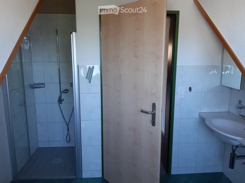 Modern bathroom with a glass-enclosed shower, a white sink, and a mirror. The shower has a handheld sprayer and a built-in shelf. The door is wooden with a silver handle.