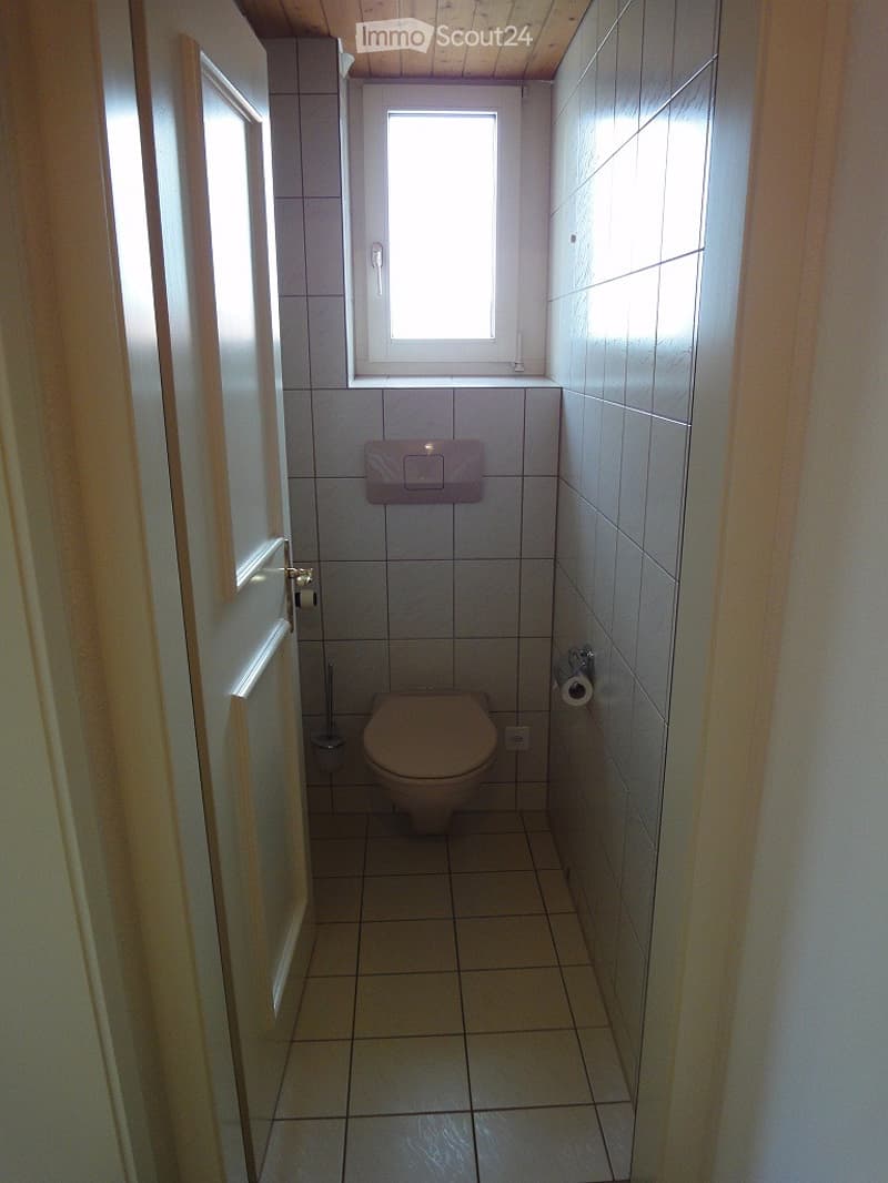 Small bathroom with tiled walls and floor, a toilet, toilet paper holder, and a toilet brush. There is a window above the toilet, and the room has a wooden ceiling.