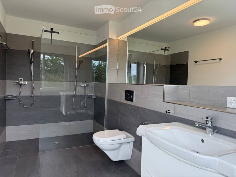 Modern bathroom with a glass-enclosed shower, toilet, sink, and large mirror. Features grey tiles and sleek fixtures.