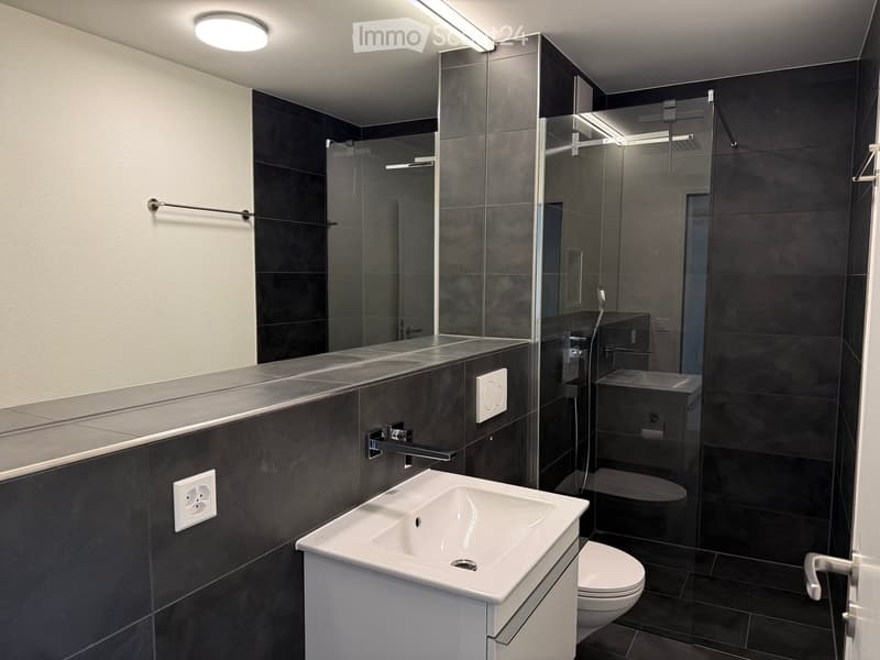 Modern bathroom with dark grey tiles, white sink, toilet, and glass-enclosed shower. Features a large mirror and modern lighting.