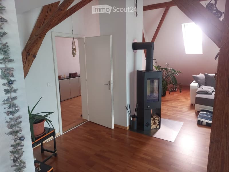 A cozy living room with wooden flooring, a modern fireplace, a sofa, and potted plants. The room features exposed wooden beams and a view into an adjacent kitchen area.