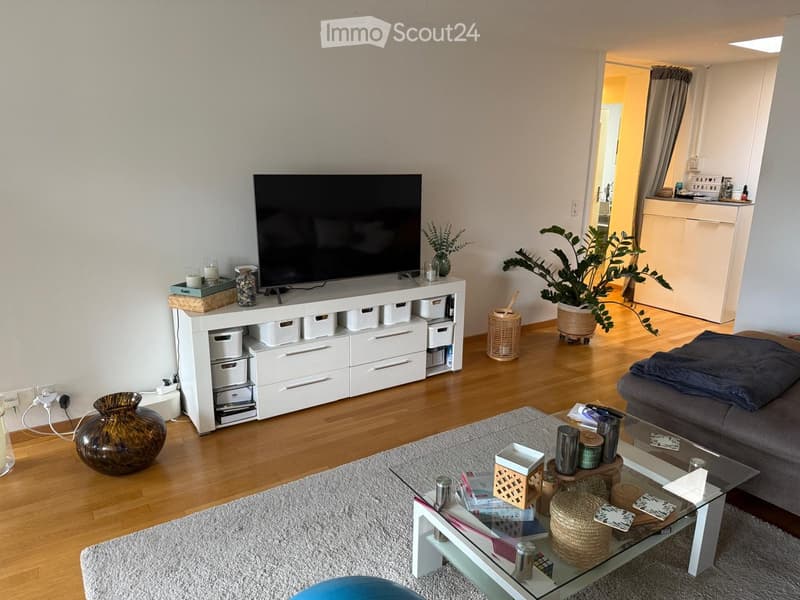 Modern living room with hardwood flooring, a grey sofa, a glass coffee table, a TV on a white storage unit, decorative vases, and plants.