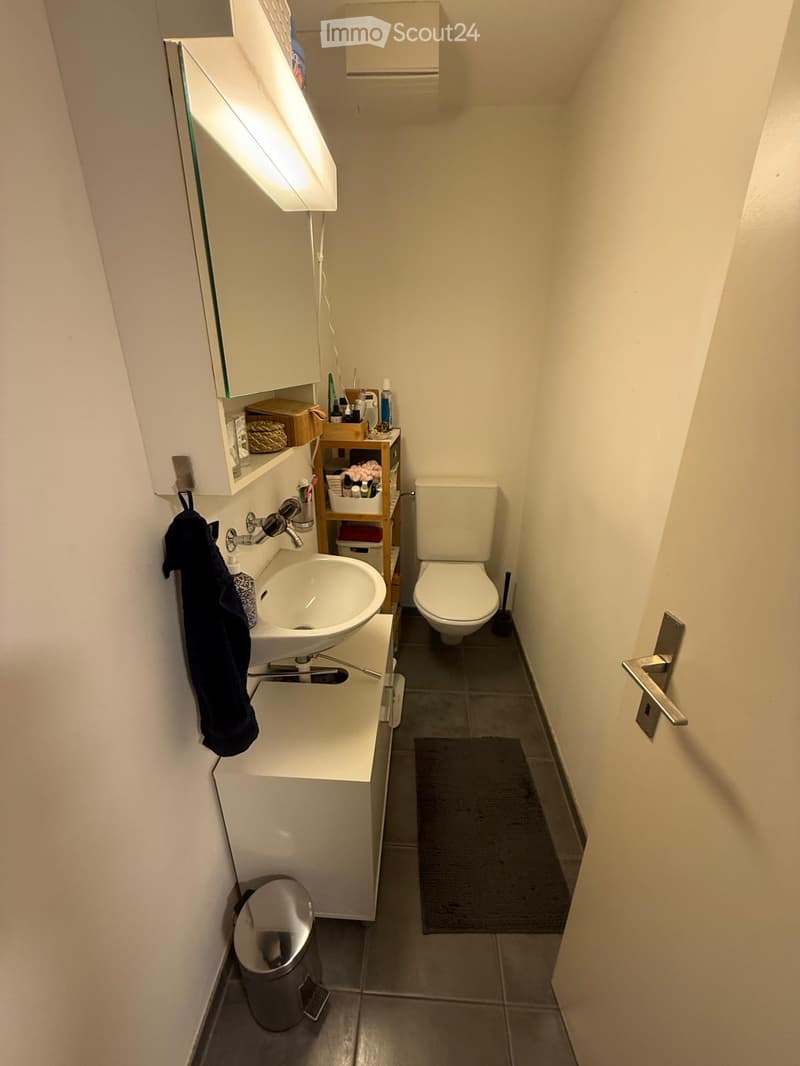 Compact bathroom with a white sink, toilet, mirror cabinet, and small storage shelf. Includes a towel, trash can, and a dark-colored bathroom rug.