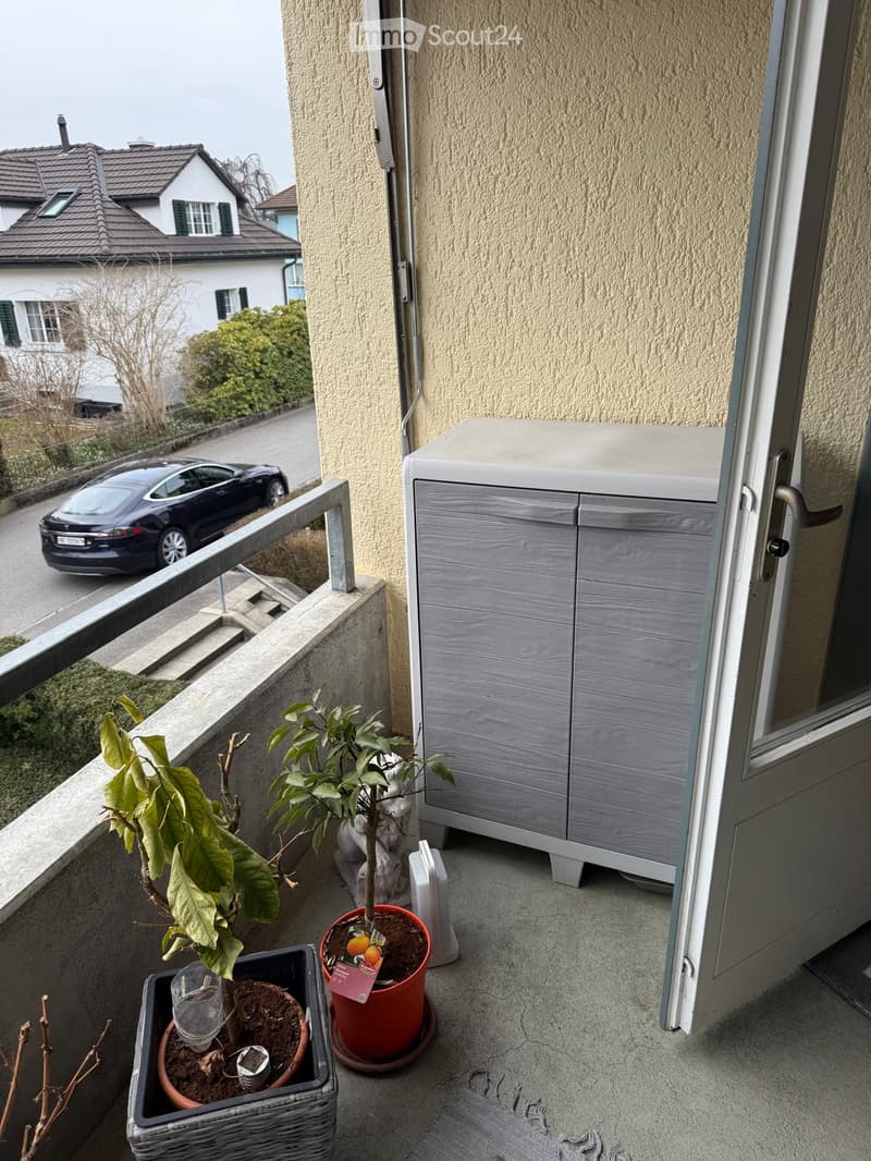 Balcony with two potted plants, a grey storage cabinet, and a metal railing overlooking a street with a parked car and neighboring houses.