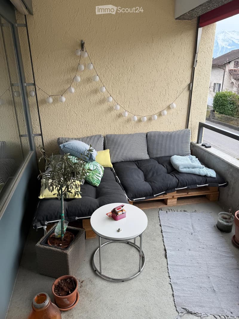 Balcony with a grey sofa, small round table, potted plants, and a rug.