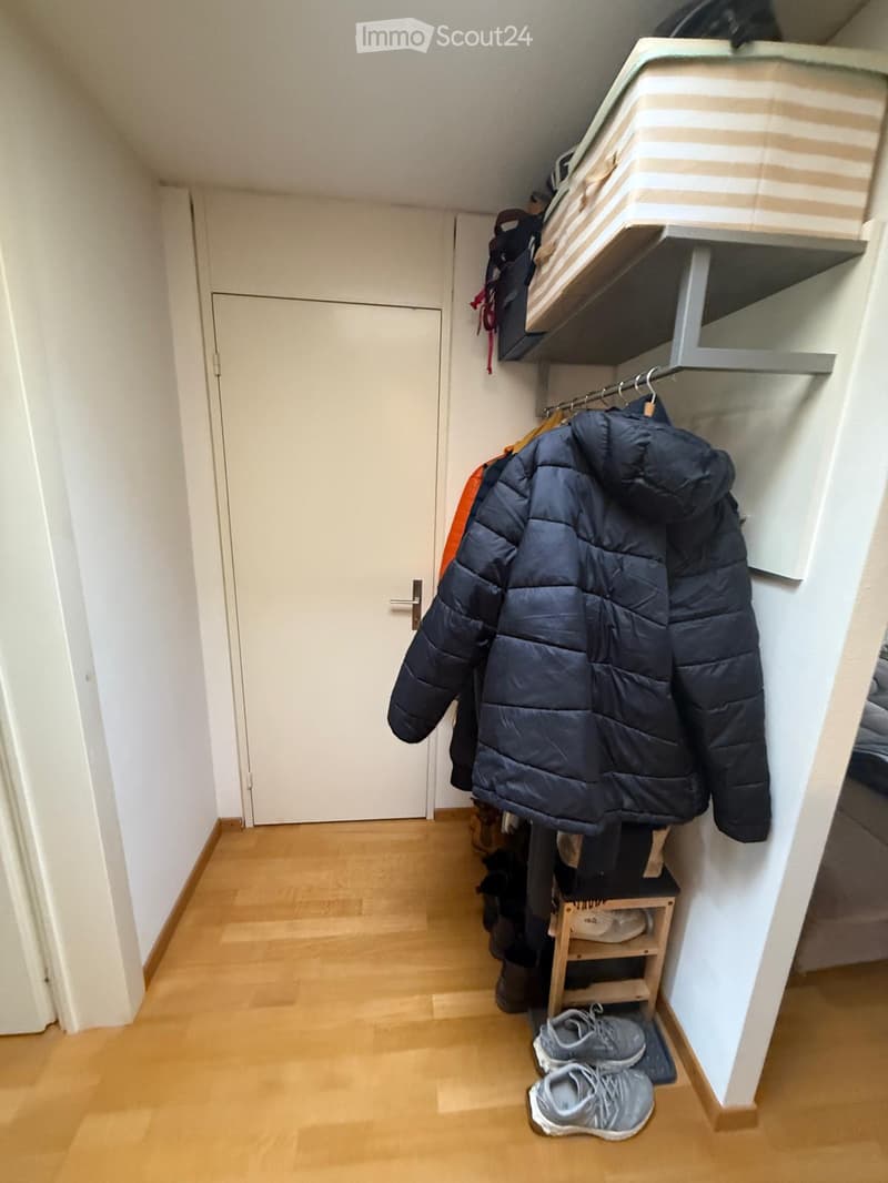 A narrow hallway with wooden flooring, white walls, and a built-in closet with shelves and hanging space. A large winter coat and shoes are placed near the closet.