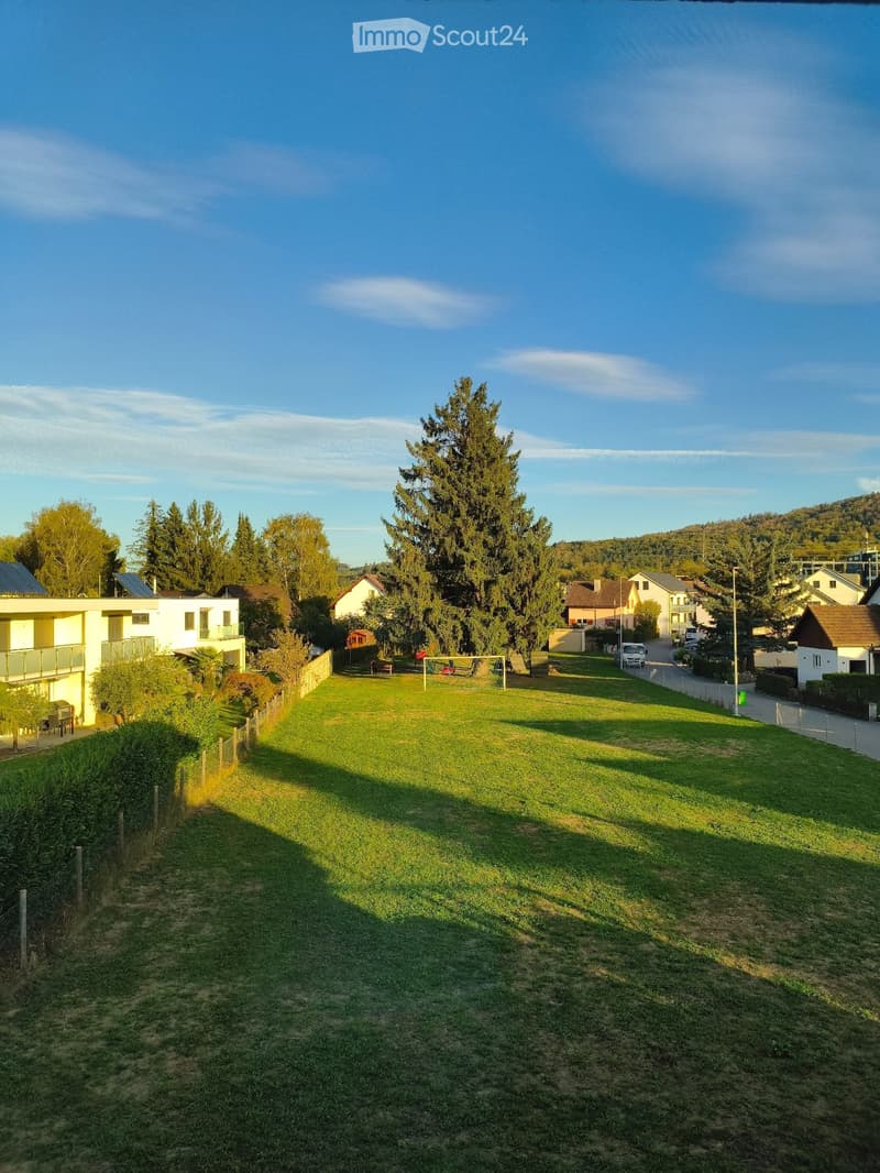A large, well-maintained lawn with trees and neighboring houses visible in the background.