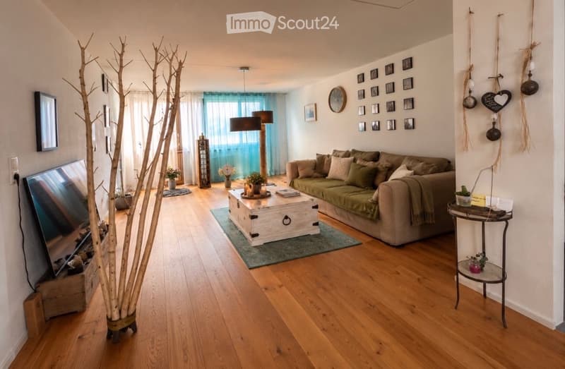 Modern living room with wooden flooring, a large sofa with multiple cushions, a coffee table, a television, floor lamp, side table, and decorative items including picture frames and potted plants.
