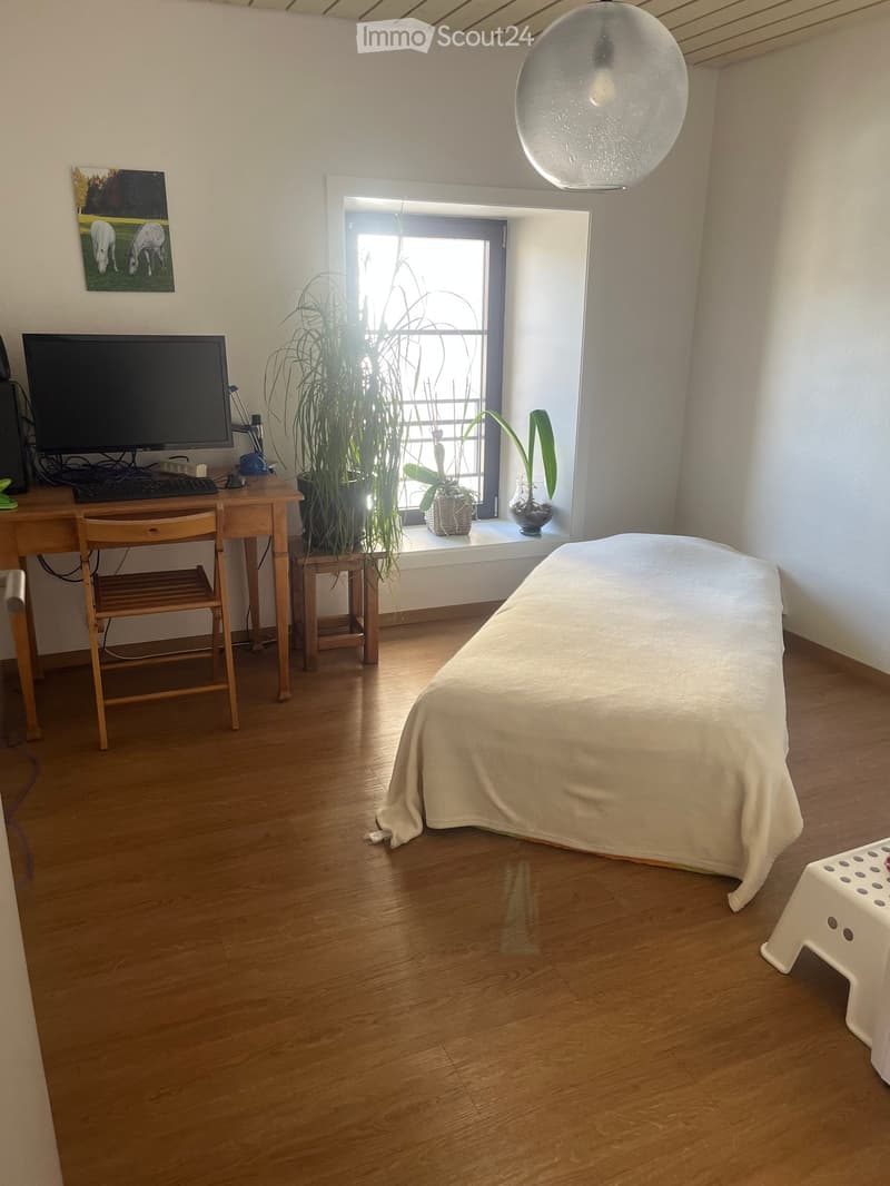 A well-lit room with wooden flooring, a desk with a computer setup, a bed covered with a white sheet, a small stool, and potted plants near the window.