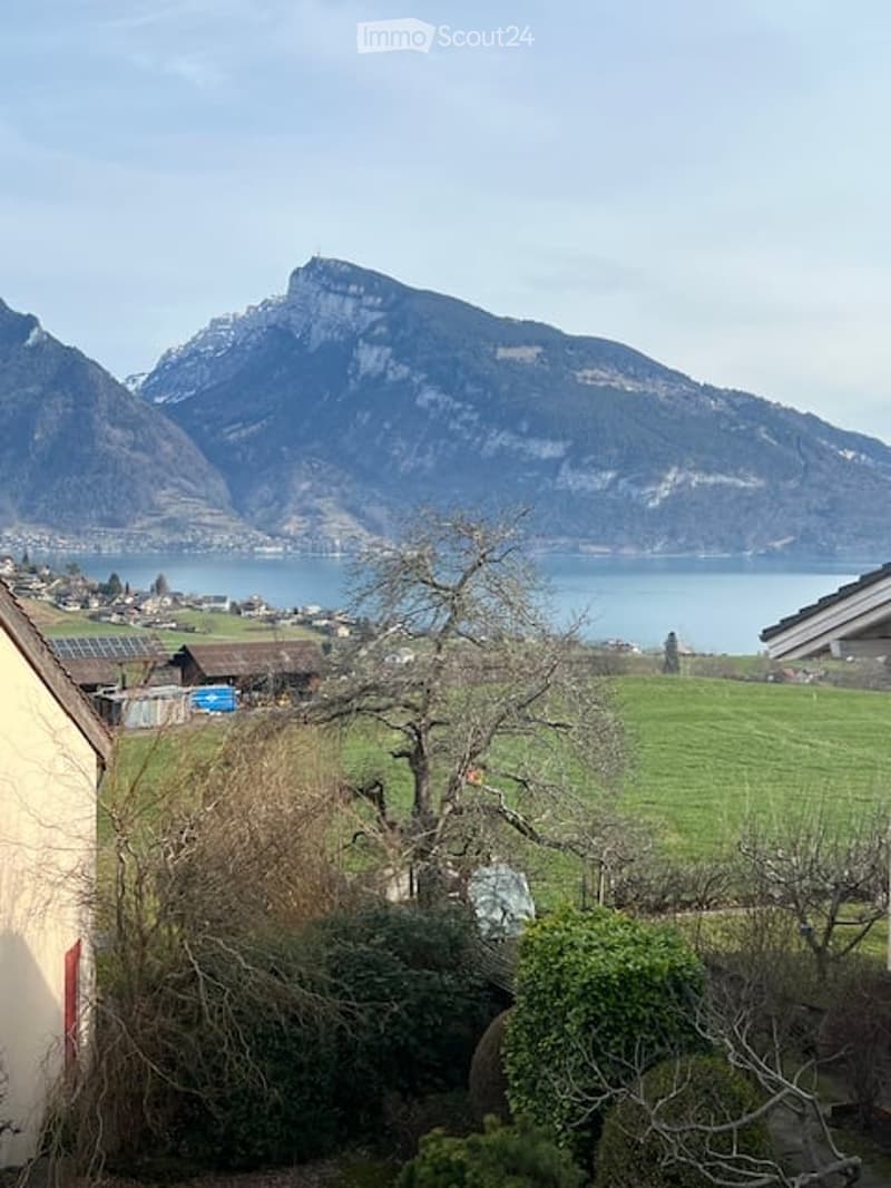 Garden with a view of a lake and mountains, featuring green grass, trees, and a small house in the foreground.