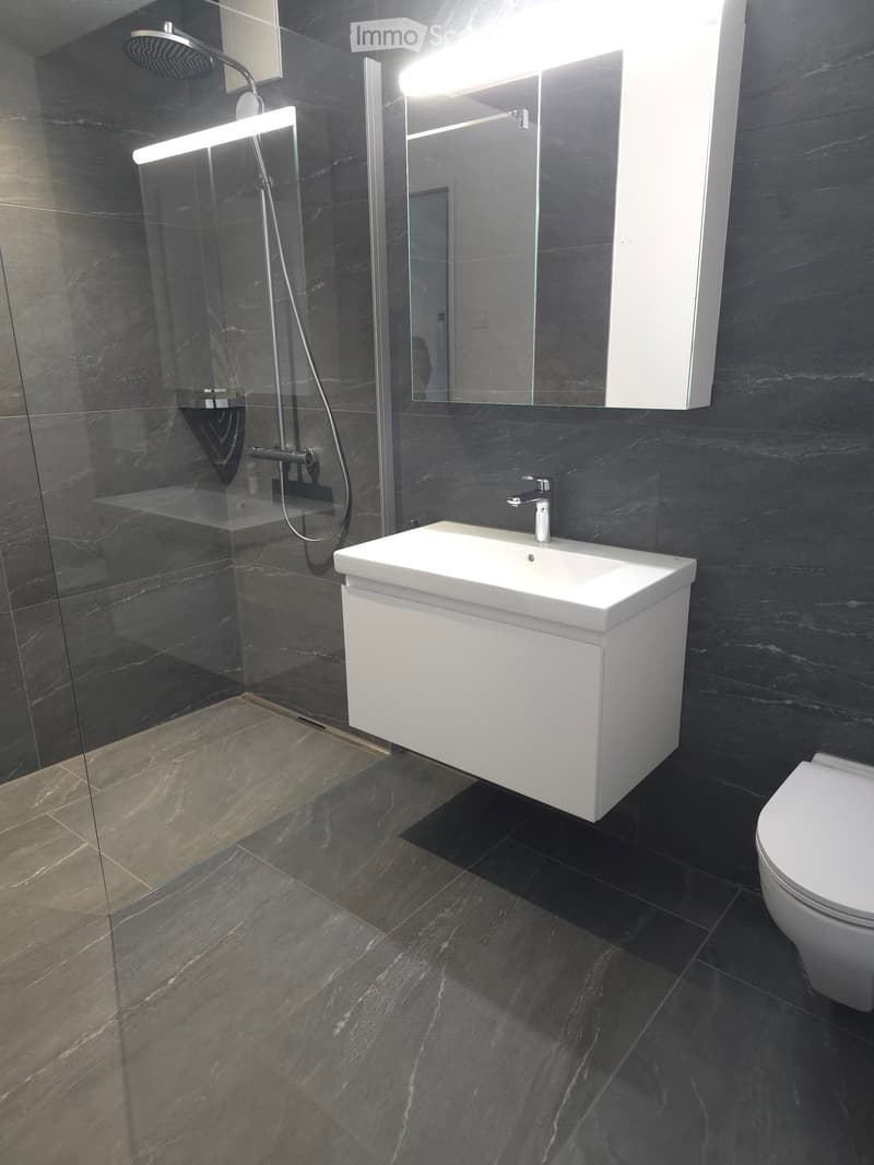 Moderne 3.5-Zimmer-Neubau-Wohnung inkl. Garten in Frick (4)