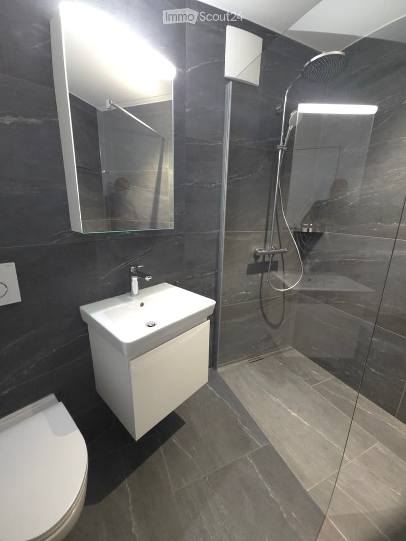 Moderne 3.5-Zimmer-Neubau-Wohnung inkl. Garten in Frick (7)