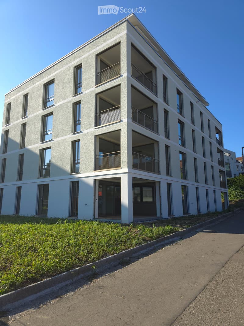 Moderne 3.5-Zimmer-Neubau-Wohnung inkl. Garten in Frick (1)