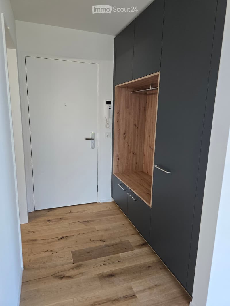 Moderne 3.5-Zimmer-Neubau-Wohnung inkl. Garten in Frick (8)