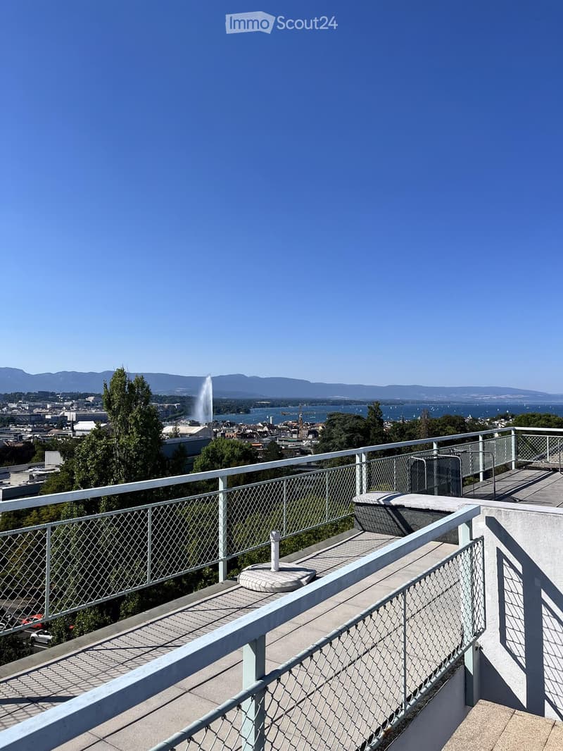 A rooftop terrace with a metal railing, overlooking a cityscape with a lake, fountain, and distant mountains.